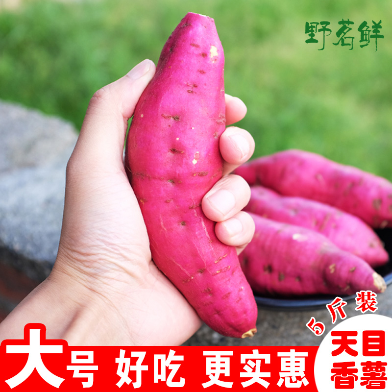 【8月现挖本地】大号新鲜红薯临安天目小香薯板栗农家山芋番薯5斤