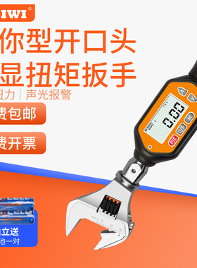 SWMC-10/100可换头电子迷你数显扭力扳手扭矩力矩活动高精度
