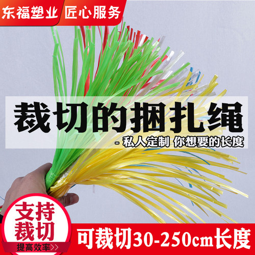 可裁切塑料捆扎绳打包绳