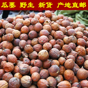 野生瓜蒌中药材 全瓜蒌实栝楼丝薤白干货无硫无添加 新货整糖瓜蒌