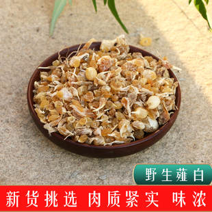 薤白500g 沂蒙山野生薤白小根蒜野蒜搭配瓜蒌用