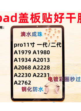 适用ipad盖板外屏pro11寸 A1979/1980/1934/2013/2068/2228/2230