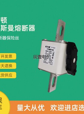 快速熔断器保险170M5750 170M5751 170M5758 17Y0M5759