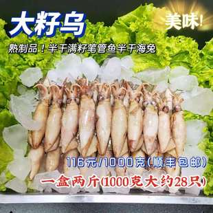 包邮 野生海捕大籽乌半干满籽笔管鱼 干海兔干鱿鱼仔1000克顺丰
