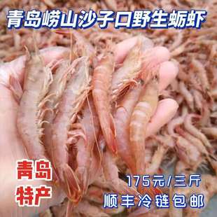 包邮 正宗青岛崂山沙子口海捕蛎虾鹰抓虾水产明虾175元 三斤顺丰