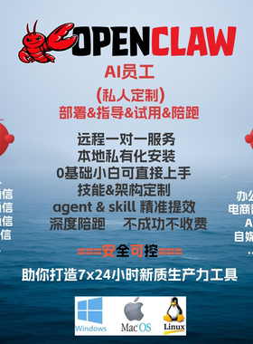 openclaw技能定制部署搭建龙虾机器人skills定制养龙虾数字员工