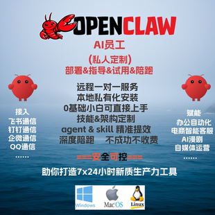 openclaw技能定制部署搭建龙虾机器人skills定制养龙虾数字员工