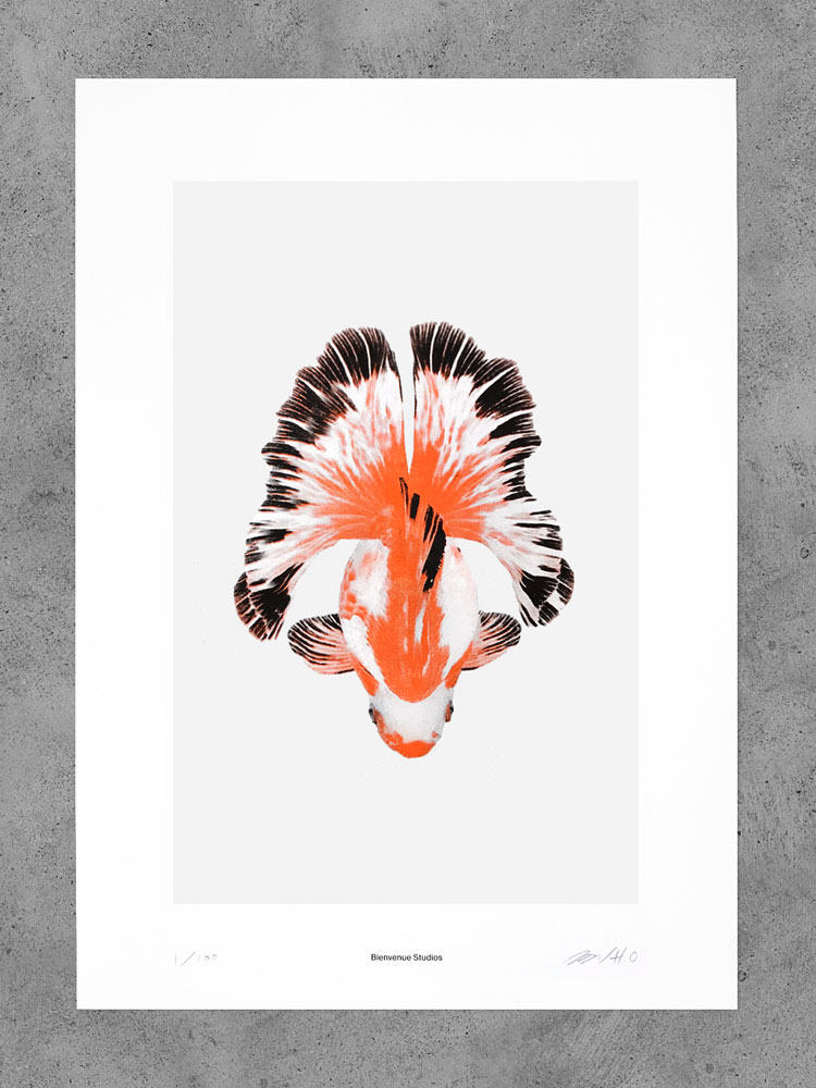诗意的自然 限量签名艺术版画 金鱼 瑞士比安弗尼工作室risograph