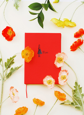 四季手账本Four Seasons日记周记本Lisk Feng插画手帐灼热Flaming