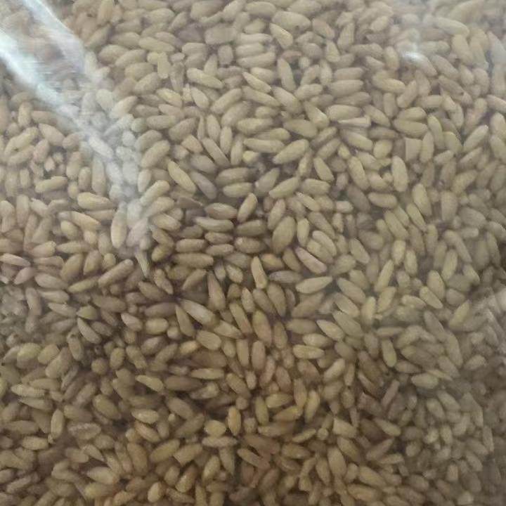 柏子仁2斤，2比1酸枣仁使用，炒制