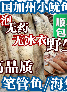 冷冻海兔鲜活鱿鱼美国加州笔管鱼