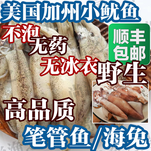 冷冻海兔鲜活鱿鱼美国加州笔管鱼