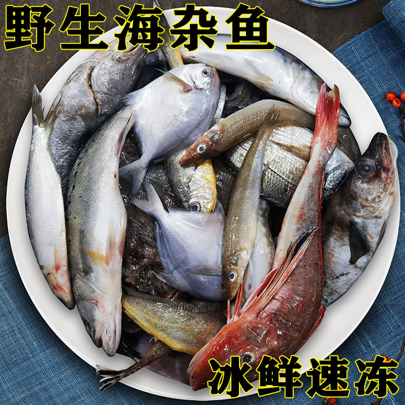 大连海杂鱼杂拌鱼鲳鱼偏口鱼鲶鱼其它