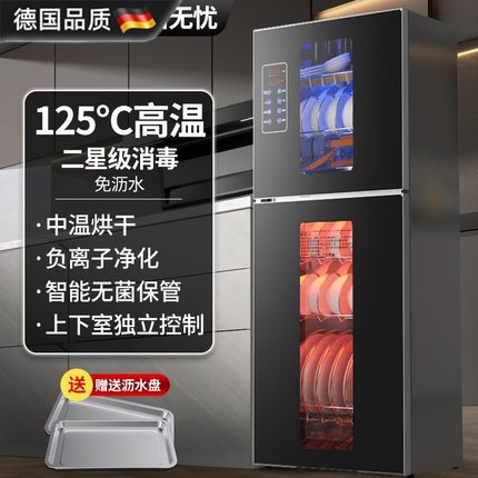 德国进口免沥水消毒柜家用小型立式桌面台式高温厨房商用碗筷柜不
