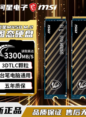 MSI/微星 M450固态硬盘500G/1TB台式机笔记本SSD固态盘M.2 NVME