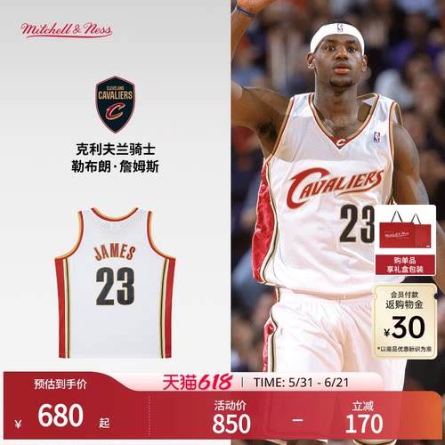 MN骑士队詹姆斯23号球衣球迷版