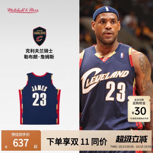 MN骑士队詹姆斯23号球衣球迷版