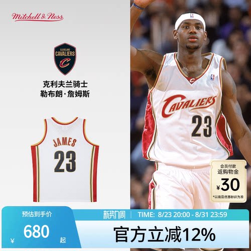 MN骑士队詹姆斯23号球衣球迷版