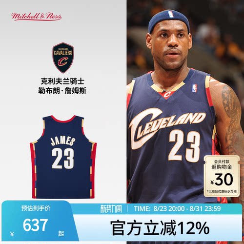 MN骑士队詹姆斯23号球衣球迷版