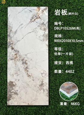 蒙娜丽S900X2010大板岩板亮光面商业空间客厅背景墙全屋通铺灰色