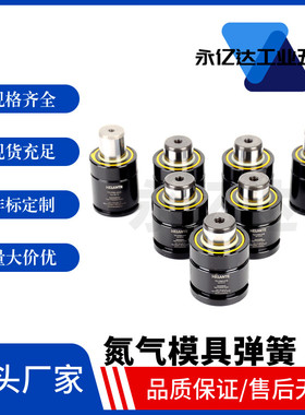 GSV1500-13/16/19/25/32/38/50/63/75/80/100/125 氮气模具弹簧