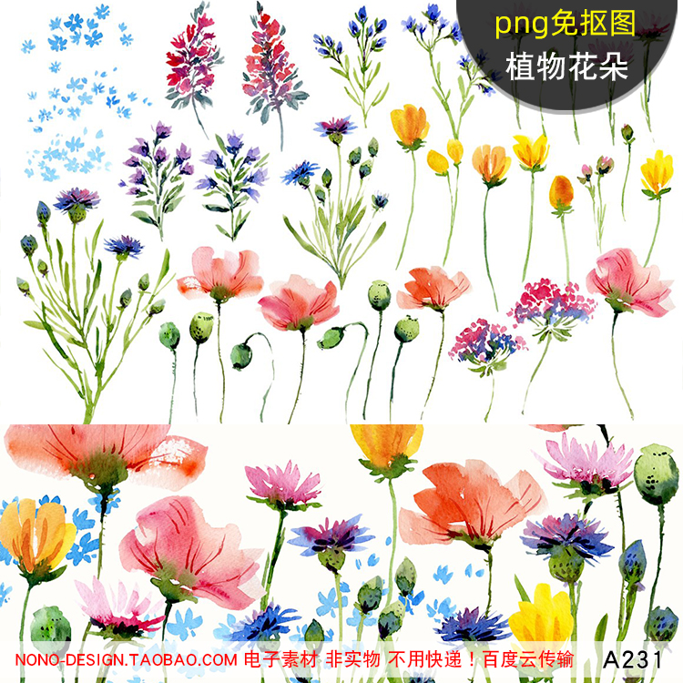 A231手绘水彩插画PNG免抠图植物花朵装饰合成PS平面设计元素素材图片