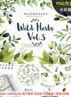 [AZ29]水彩手绘免抠图PNG无背景植物叶子绿色草本设计师装饰素材