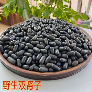 双肾子正品双肾子男性滋补苦石莲子金刚果天然泡酒料