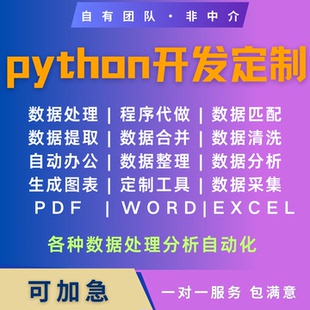 python数据处理excel数据分析程序word/pdf/txt文本提取代编程