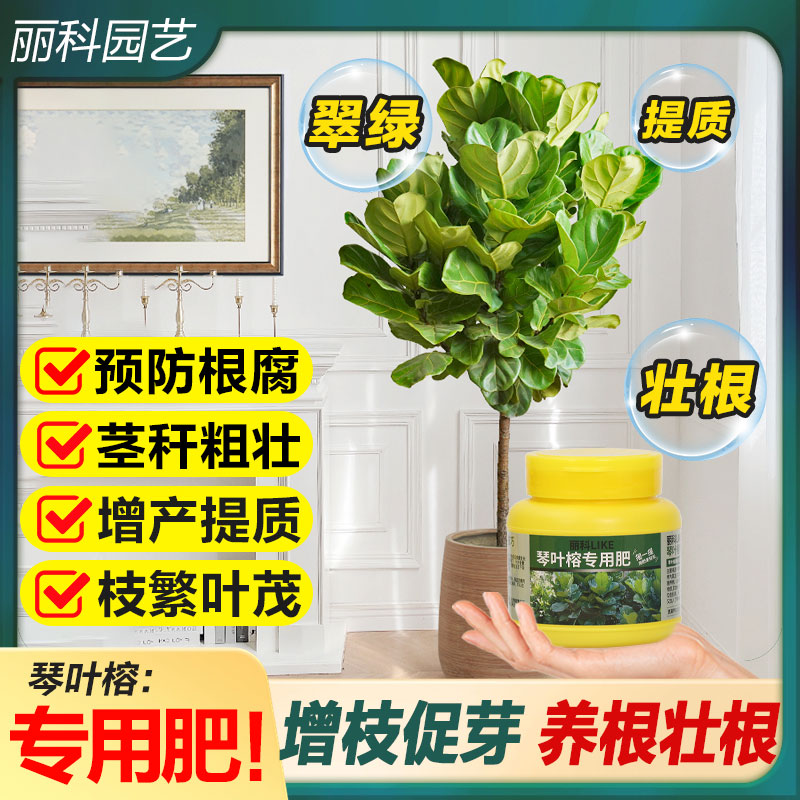 琴叶榕专用肥花肥颗粒缓释肥