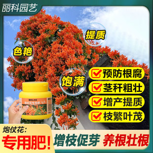 炮仗花肥料花肥家用通用型复合肥养花盆栽植物有机颗粒缓释肥大全