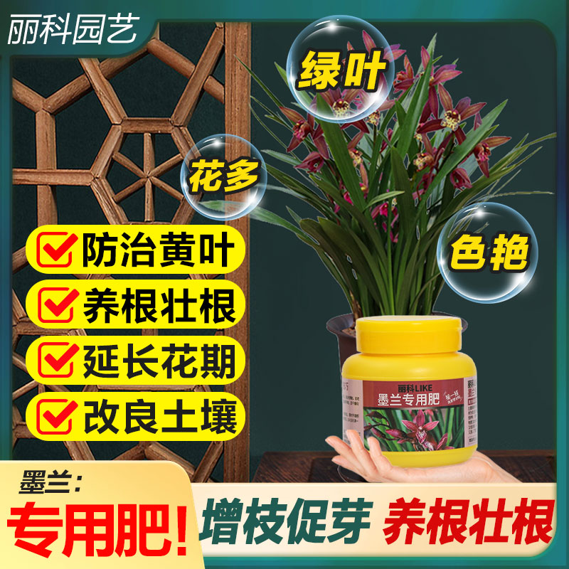 墨兰专用肥缓释肥花肥盆栽肥