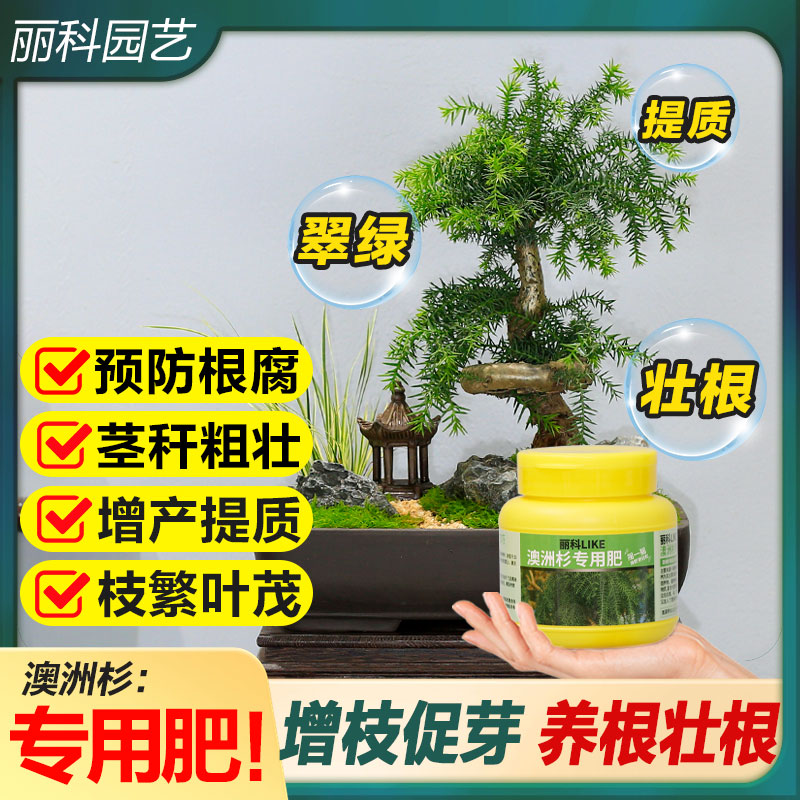 澳洲杉专用肥有机缓释肥花肥料