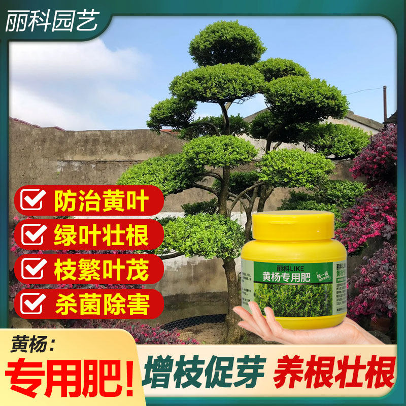 鸭脚木专用肥缓释肥颗粒花肥家用