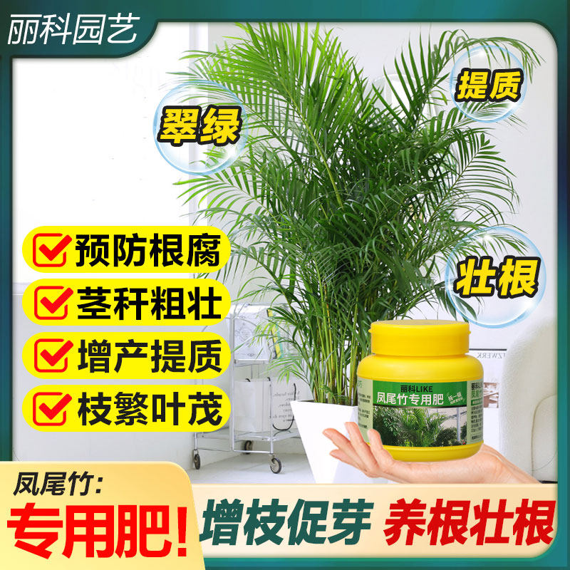 凤尾竹专用肥通用型肥料花肥家用