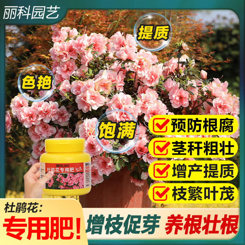 杜鹃花专用肥花肥料花卉肥料