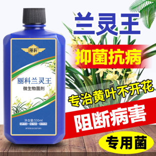 兰灵王兰花专用肥营养液肥料蝴蝶兰陵王兰科多箭促花杀菌药活化剂