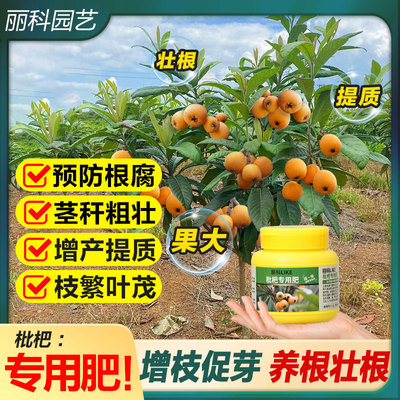枇杷树专用肥复合肥有机颗粒肥