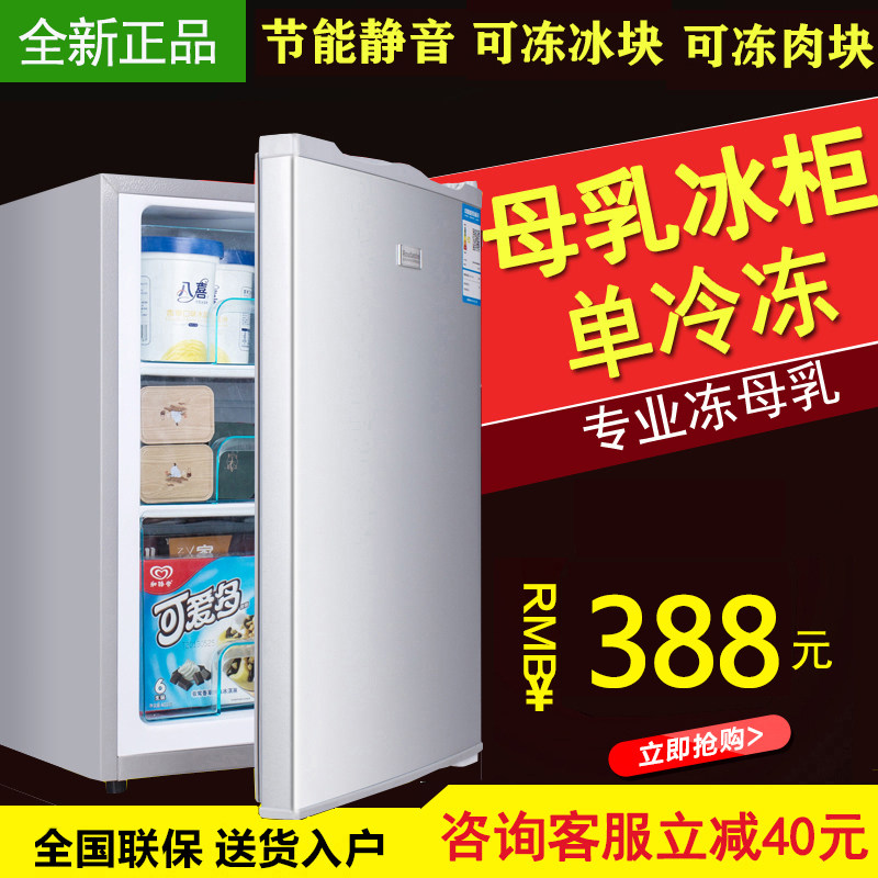 北极熊全冷冻家用冰箱立式冷柜小型冰柜储奶冻母乳侧开门无霜抽屉
