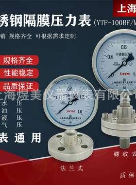YTP100BF螺纹法兰连接DN25 DN50 316L衬四氟不锈钢耐震隔膜压力表