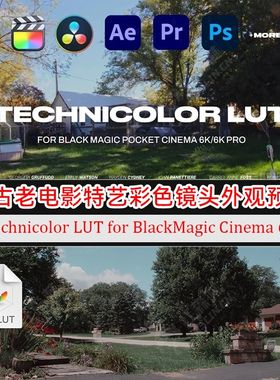 复古老式电影特艺彩色镜头高饱和外观调色预设 Technicolor LUT