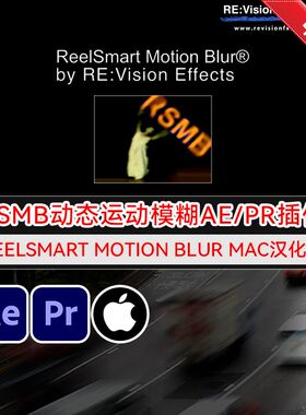 Mac汉化-RSMB动态运动模糊AEPR插件 ReelSmart Motion Blur 6.4.4