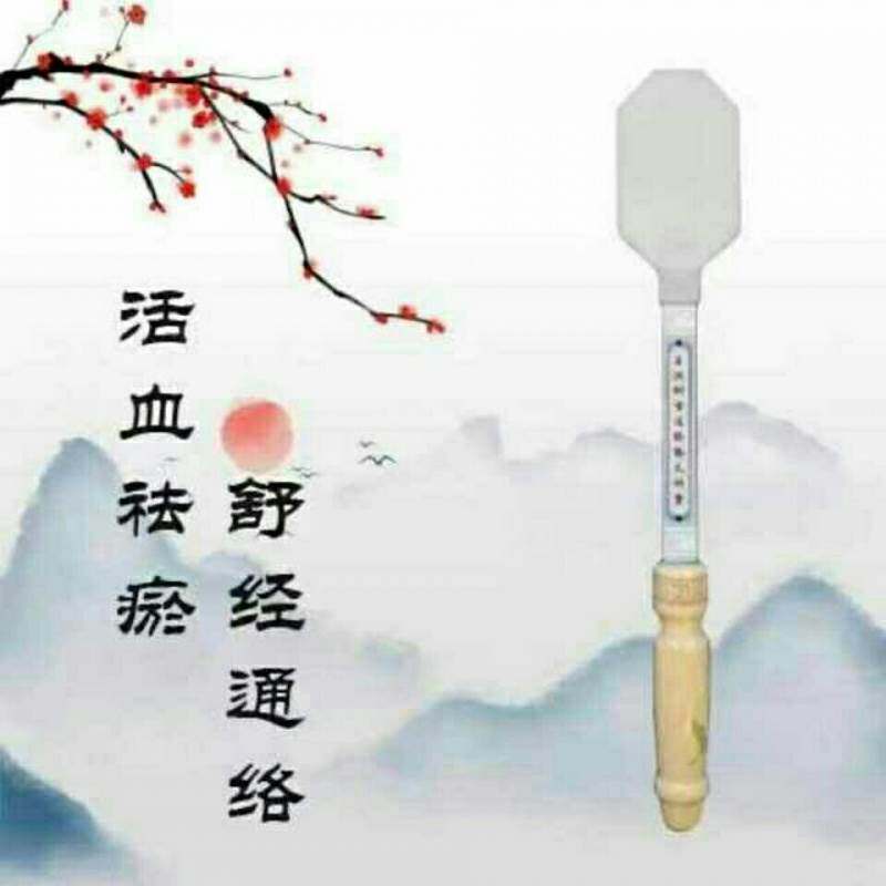 王洪刚经络拍养生拍雷音拍痧板莎板沙板硅胶扣痧专业拍打器胆经棒
