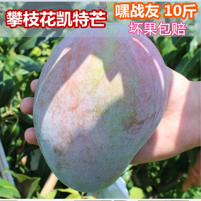 【送5斤】攀枝花凱特大青芒果新鮮包郵當季水果批發共發整箱10斤