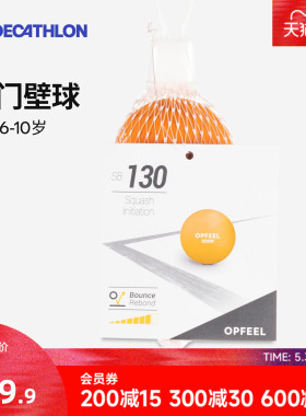 迪卡侬壁球2只装初学者专业竞赛套装训练器比赛用球ARTENGO CSR5