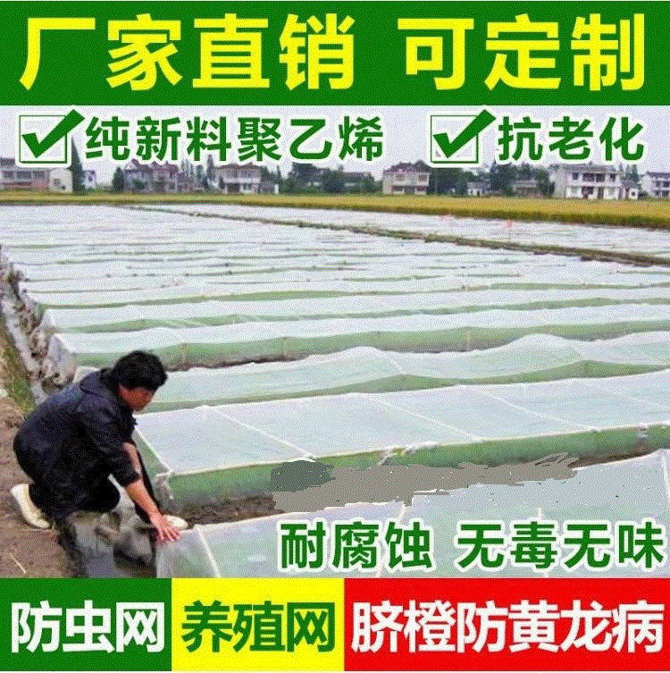 防蚊防虫窗纱网蔬菜大棚常用网防雹防鸟网尼龙加密加厚农业养殖网|ruв категории доставка цветов/цветок моделирования/растения садоводства, садовых принадлежностей, других садовых принадлежностей - от Buy2taobao.com для оказания профессиональной услуги покупки агента Taobao