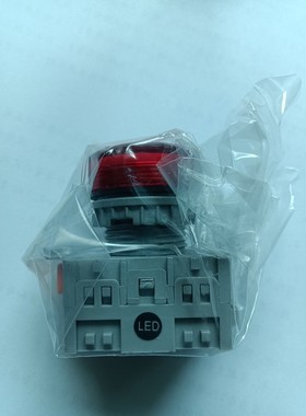 全新原装正品天得红色220V指示灯TN2P2RL