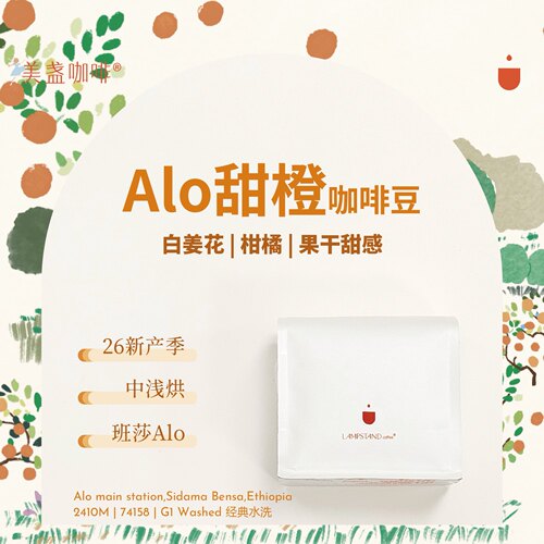 美盏Alo甜橙咖啡豆26季班莎空运