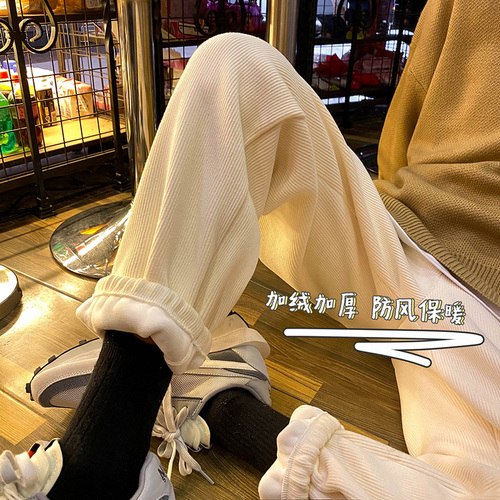 星座1010A XZ1010AK142