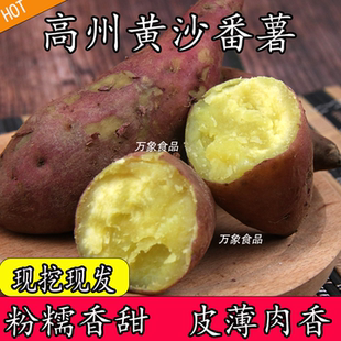 【黄沙番薯】广东高州市古丁板栗红薯粉软糯香甜地瓜新鲜农家自种
